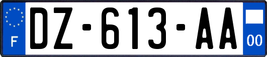 DZ-613-AA