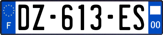 DZ-613-ES