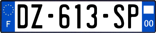 DZ-613-SP