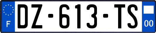 DZ-613-TS