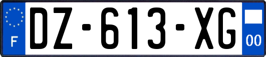 DZ-613-XG