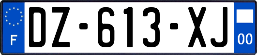 DZ-613-XJ