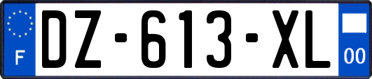 DZ-613-XL