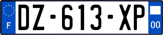 DZ-613-XP