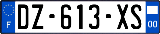 DZ-613-XS