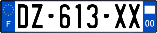 DZ-613-XX