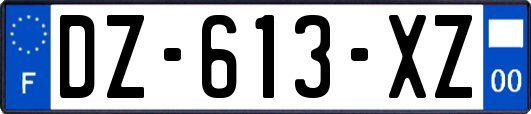 DZ-613-XZ