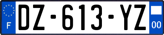 DZ-613-YZ