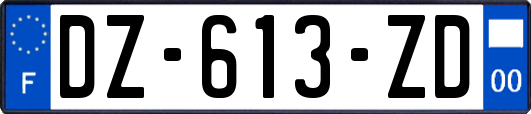 DZ-613-ZD