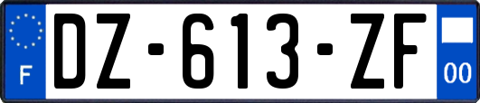 DZ-613-ZF