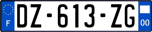 DZ-613-ZG