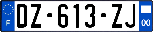 DZ-613-ZJ