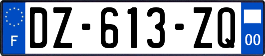 DZ-613-ZQ