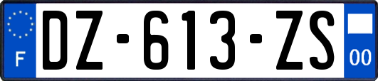 DZ-613-ZS