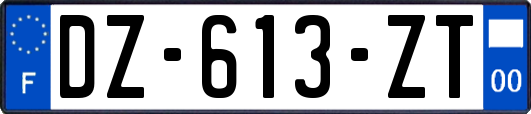 DZ-613-ZT