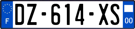 DZ-614-XS