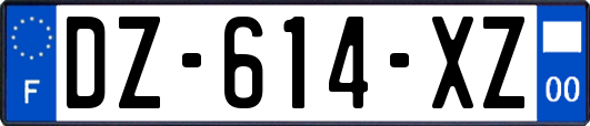 DZ-614-XZ