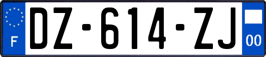 DZ-614-ZJ