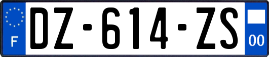 DZ-614-ZS