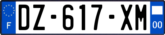 DZ-617-XM