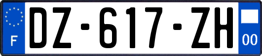 DZ-617-ZH