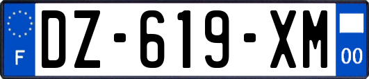 DZ-619-XM