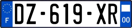 DZ-619-XR