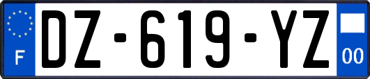 DZ-619-YZ