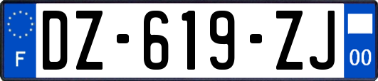 DZ-619-ZJ