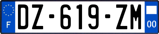 DZ-619-ZM