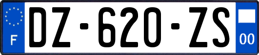 DZ-620-ZS