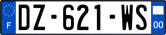 DZ-621-WS