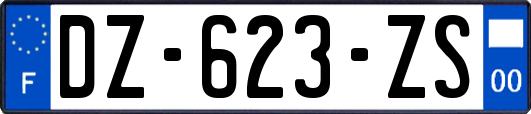 DZ-623-ZS