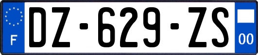 DZ-629-ZS