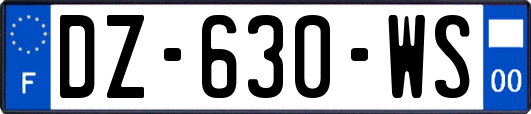 DZ-630-WS