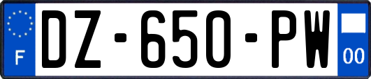 DZ-650-PW