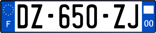 DZ-650-ZJ