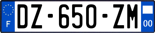 DZ-650-ZM