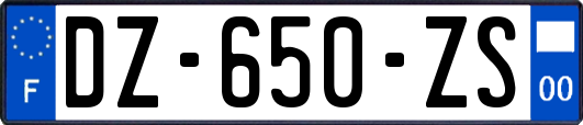 DZ-650-ZS