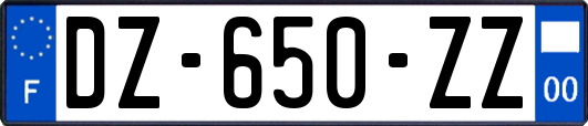 DZ-650-ZZ