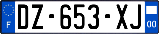 DZ-653-XJ