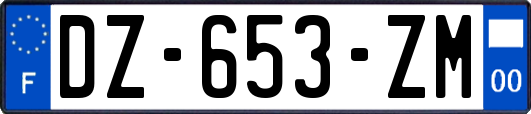 DZ-653-ZM