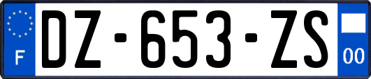 DZ-653-ZS