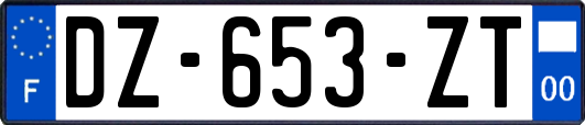 DZ-653-ZT