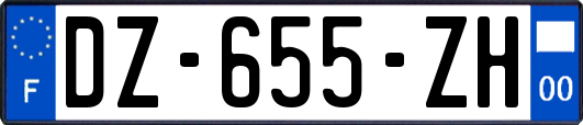 DZ-655-ZH