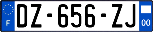 DZ-656-ZJ