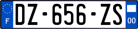 DZ-656-ZS