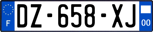 DZ-658-XJ