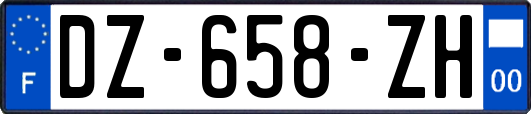 DZ-658-ZH