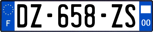 DZ-658-ZS